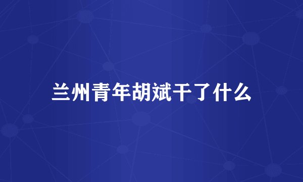 兰州青年胡斌干了什么
