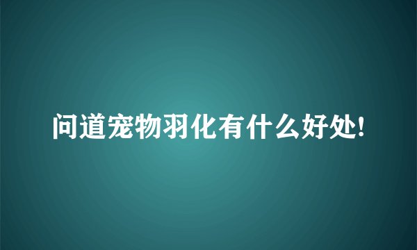问道宠物羽化有什么好处!