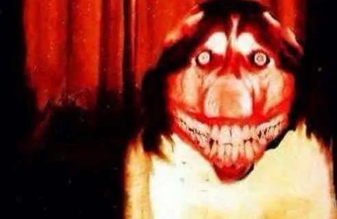 smile.jpg搜smile dog五秒动态图后悔了（背后有故事）