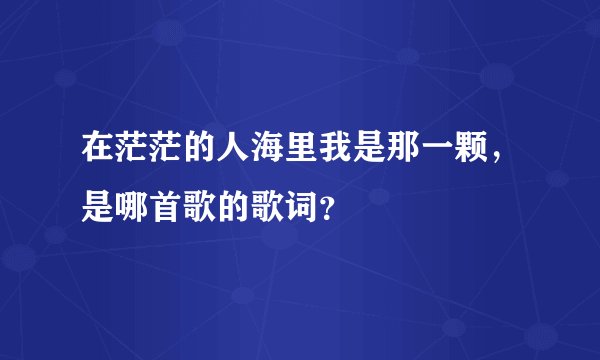 在茫茫的人海里我是那一颗，是哪首歌的歌词？