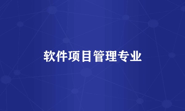 软件项目管理专业