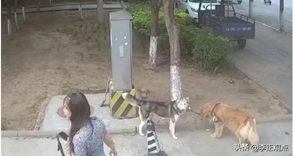 女子路边树上拴狗没让儿童靠近,老人骑车猛撞狗主人,你怎么看?