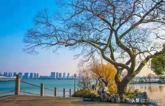 在珍爱网上遇到一个感情骗子，我该放过他吗？