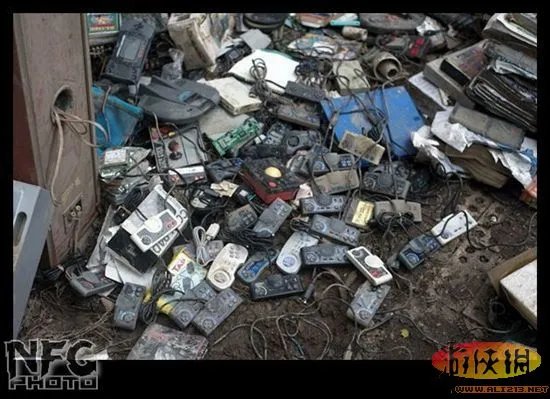 百年洪水来袭 澳洲玩家藏品惨遭洪水蹂躏(图)