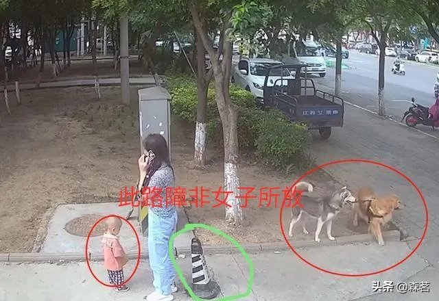 女子路边树上拴狗没让儿童靠近,老人骑车猛撞狗主人,你怎么看?