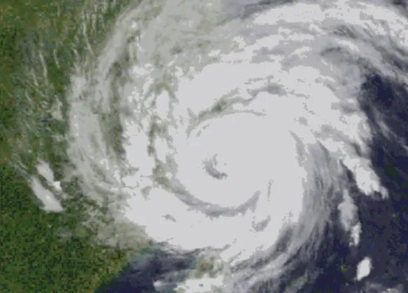 风王利奇马或被除名已致400万人受灾 风王利奇马为什么会被除名