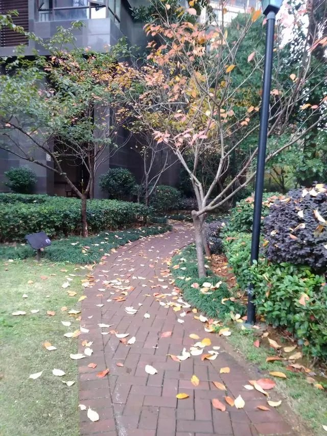 声乐培训班有用吗