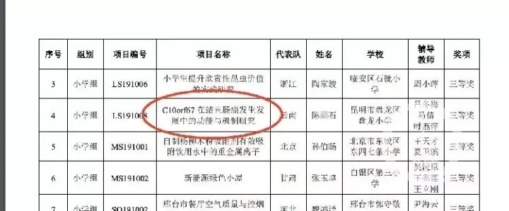 研究基因获奖小学生系研究员之子，是否存在学术造假现象？