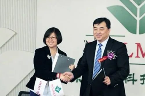 罗麦是一个怎样的公司？