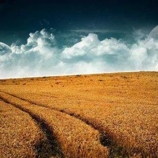 扫荡的意思是什么？