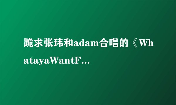 跪求张玮和adam合唱的《WhatayaWantFromMe》QQ空间MP3链接？