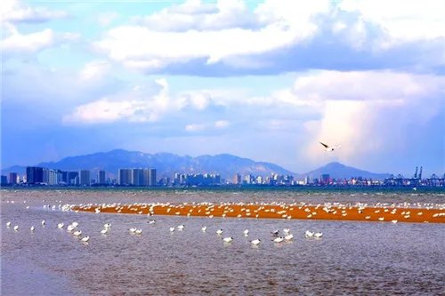 近几年秦皇岛房价走势  限购后秦皇岛房价会下跌吗