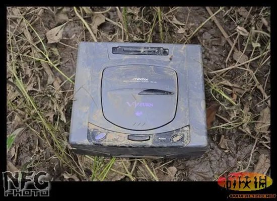 百年洪水来袭 澳洲玩家藏品惨遭洪水蹂躏(图)