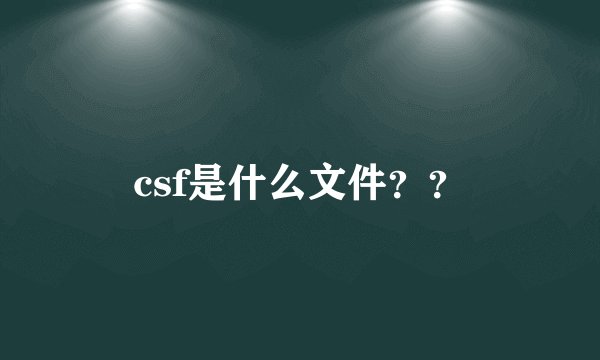 csf是什么文件？？