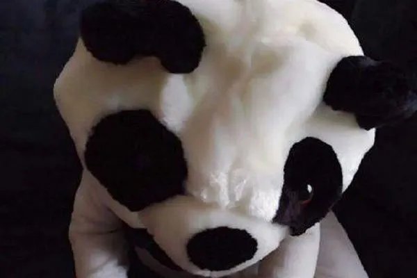 小糯米是杨幂养的小鬼？ 活蹦乱笑的小朋友绝不是小鬼