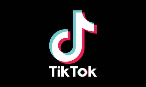 如何看待Tik Tok起诉美国政府的决定,你会支持吗?