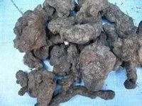 朱苓的花是什么样子的