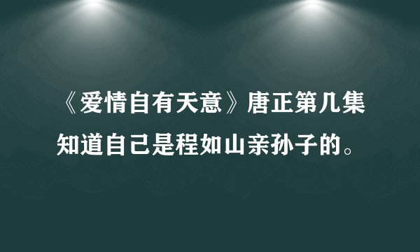 《爱情自有天意》唐正第几集知道自己是程如山亲孙子的。