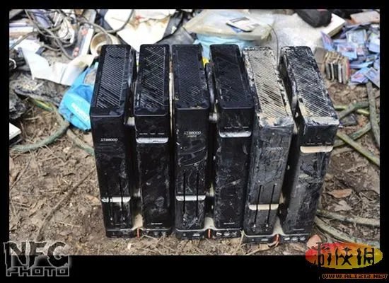 百年洪水来袭 澳洲玩家藏品惨遭洪水蹂躏(图)