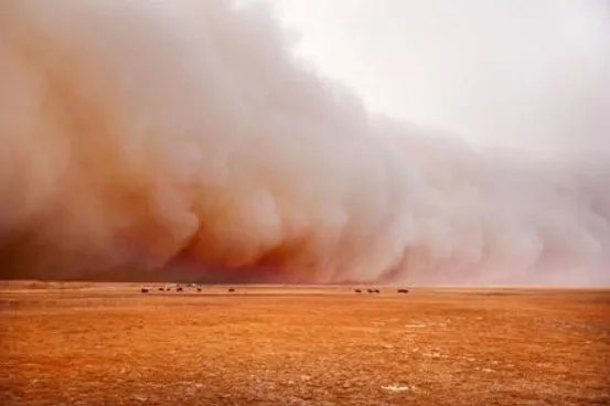 沙尘暴是啥恶化的结果？