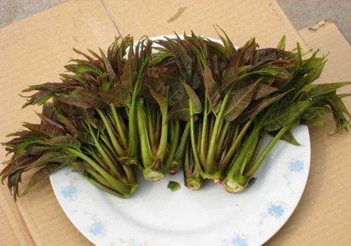 春分要吃什么东西