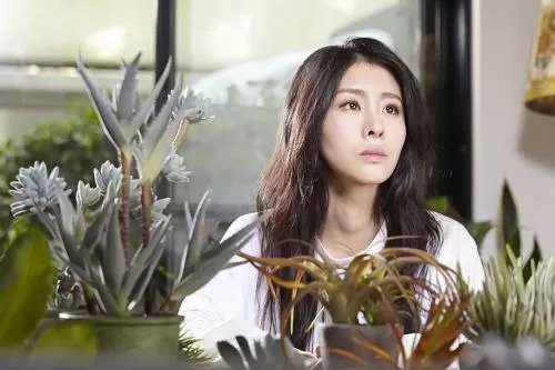 张碧晨微博评论频出亮点，网友们都是怎么说的？