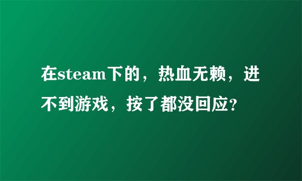 在steam下的，热血无赖，进不到游戏，按了都没回应？