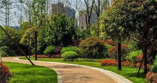 绿化率计算标准是怎样的