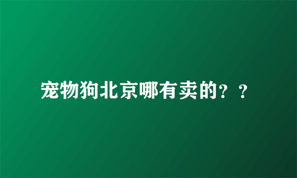 宠物狗北京哪有卖的？？