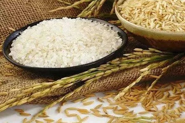 为什么封闭好的大米,仍然会长虫?米虫是怎么产生的?