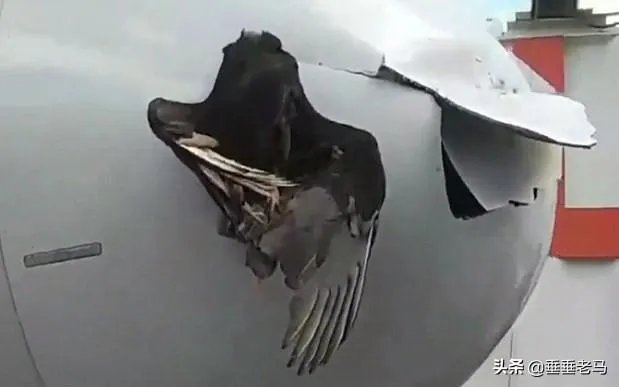 印度又火了，这次是战机扔油箱，到底是怎么回事？