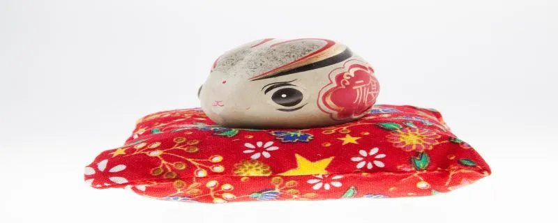 2011年是什么年 2011年的属什么生肖