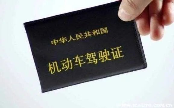 伪造机动车号牌怎么处罚扣几分