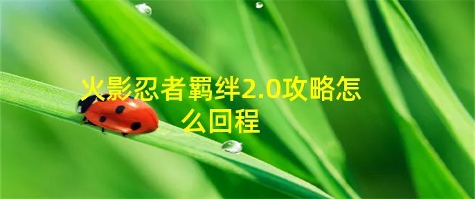 火影忍者羁绊2.0攻略怎么回程