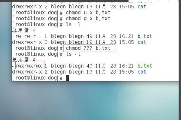 CHMOD命令怎么用？