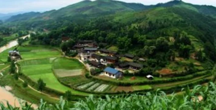 程莎莉回应不回农村养老，农村和城市你更喜欢哪里？