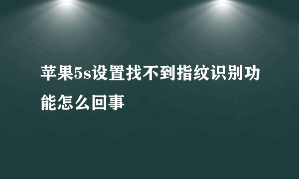 苹果5s设置找不到指纹识别功能怎么回事