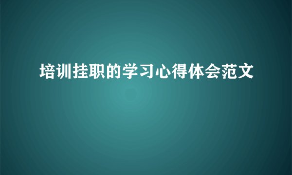 培训挂职的学习心得体会范文