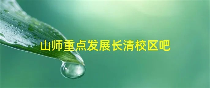 山师重点发展长清校区吧