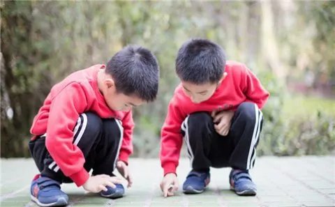 深圳计划生育证明办理流程