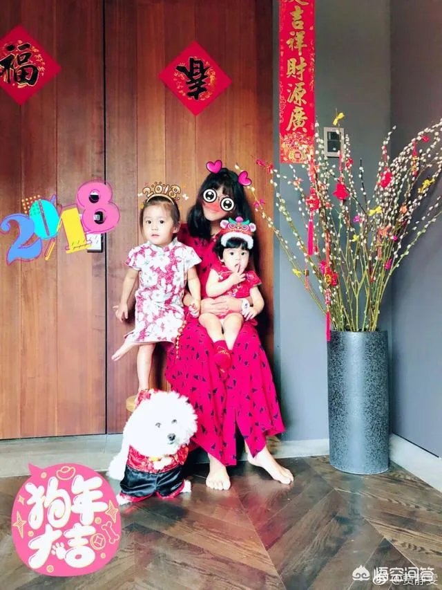 贾静雯生下第三个女儿为什么不炫娃？