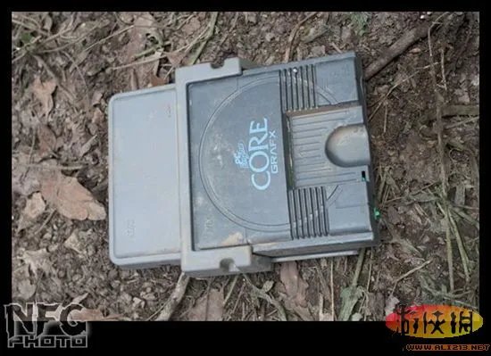 百年洪水来袭 澳洲玩家藏品惨遭洪水蹂躏(图)