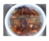 学做小龙虾，有不错的师傅吗