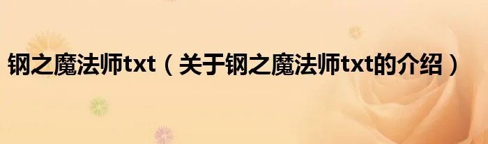 钢之魔法师txt（关于钢之魔法师txt的介绍）