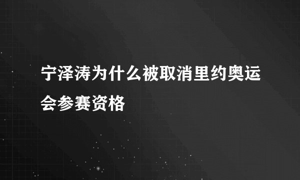 宁泽涛为什么被取消里约奥运会参赛资格