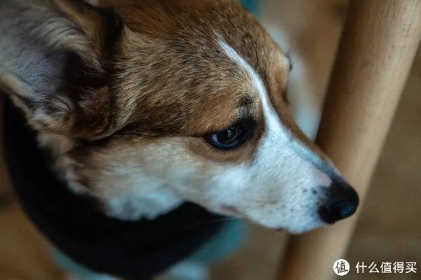 a6400开箱与三天使用体验 「多图预警!」