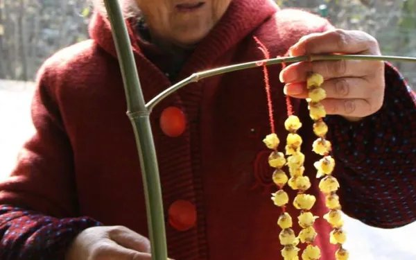 梅花婆婆是何许人也?