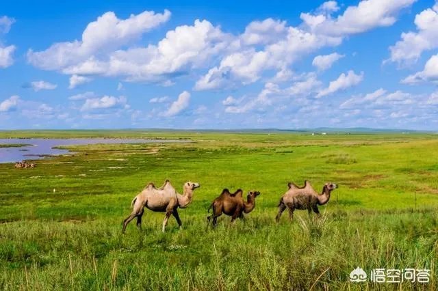 中国传说最大秘密宝藏