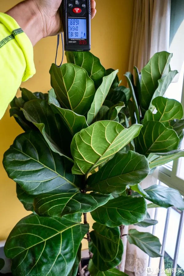 激光测距仪怎么用