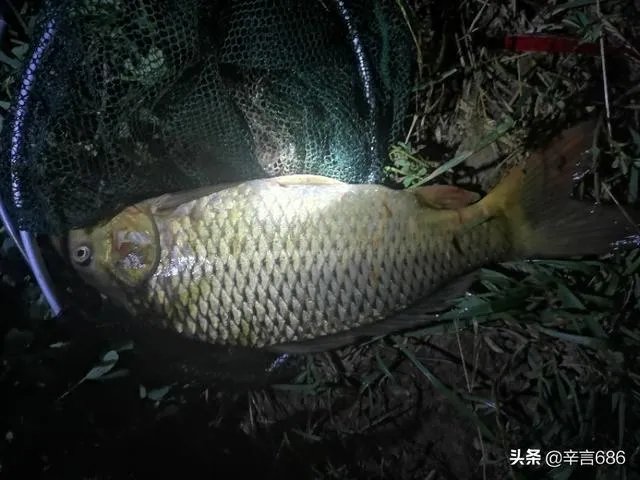 西安有哪些免费钓鱼的地方?